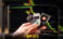 مشکلات نرم‌ افزاری و فنی Trezor چیست؟