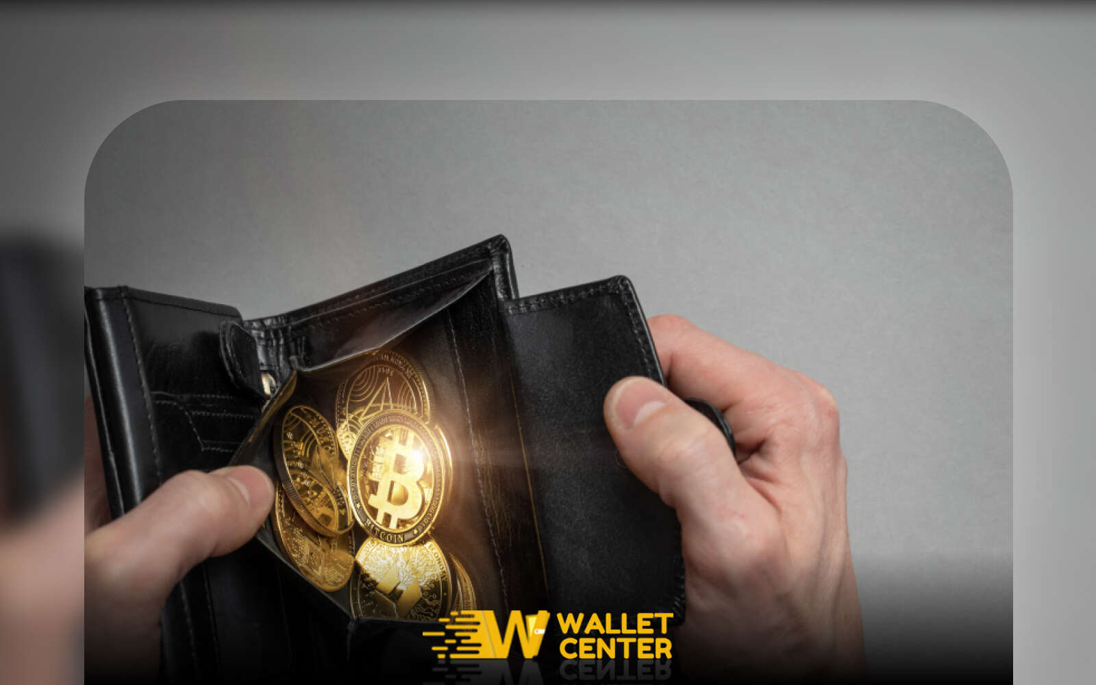 بهترین کیف پول سخت افزاری برای هولد کردن